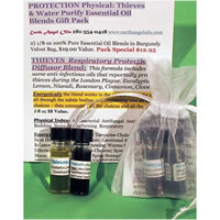 Protection Physical & Environmental Pk