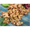 Ginger Root