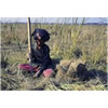 Vetiver Select